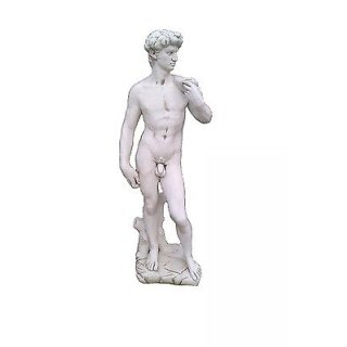 Vær forsigtig tidsplan forkorte Adonis Statue David Figur Michelangelo Griechische Figur Nackte Garte