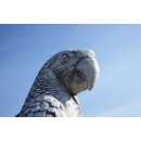 2 x Papageien Figuren Steinfiguren Vogelfiguren Ara Kakadu Garten Tierfiguren