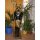ANTIKES WOHNDESIGN  ANUBIS  - Lebensgroße ägyptische Figur H: 139 cm
